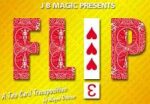 Flip by Mark Mason