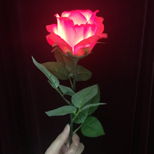 Light-Up Rose