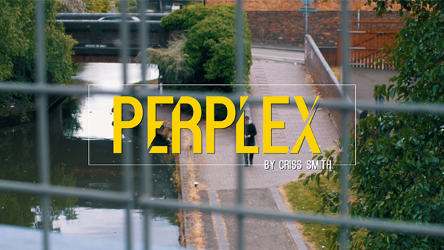 Perplex by Criss Smith