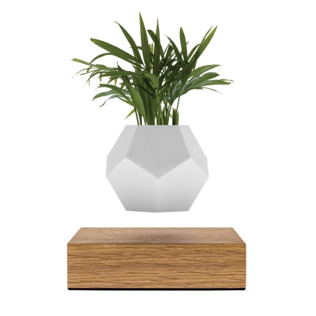 LYFE Planter (FLYTE)