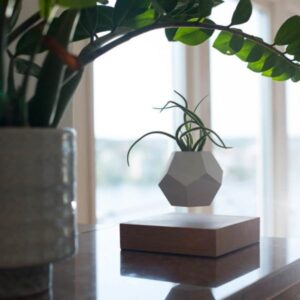 LYFE Planter (FLYTE)