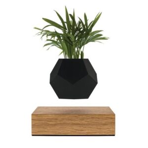 LYFE Planter (FLYTE)