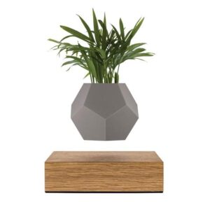 LYFE Planter (FLYTE)