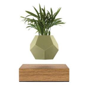 LYFE Planter (FLYTE)