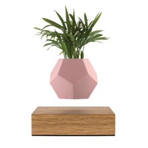 LYFE Planter (FLYTE)