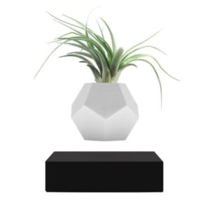 LYFE Planter (FLYTE)