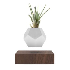 LYFE Planter (FLYTE)