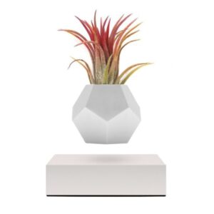 LYFE Planter (FLYTE)