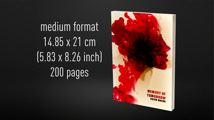 Babel Book Test 4 by Vincent Hedan: Memory of Tomorrow (medium, 600 pages)